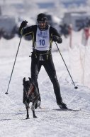 Lenk 2013